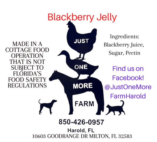 Blackberry Jelly