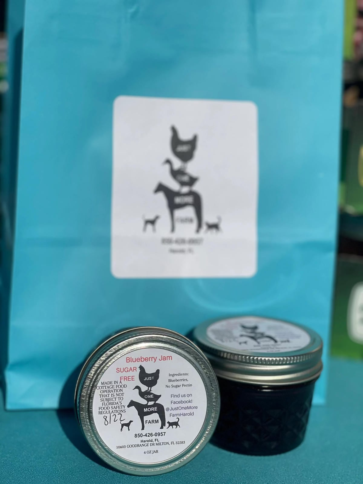 Blueberry Jam SUGAR FREE