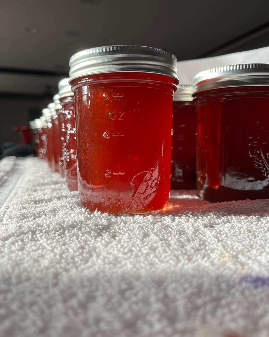Jellies