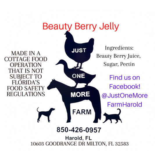 Beautyberry Jelly