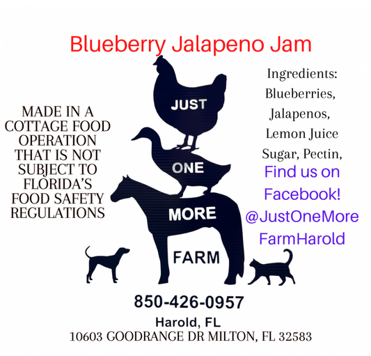 Blueberry Jalapeño Jam