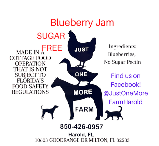 Blueberry Jam SUGAR FREE
