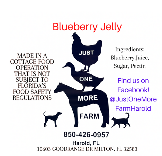 Blueberry Jelly
